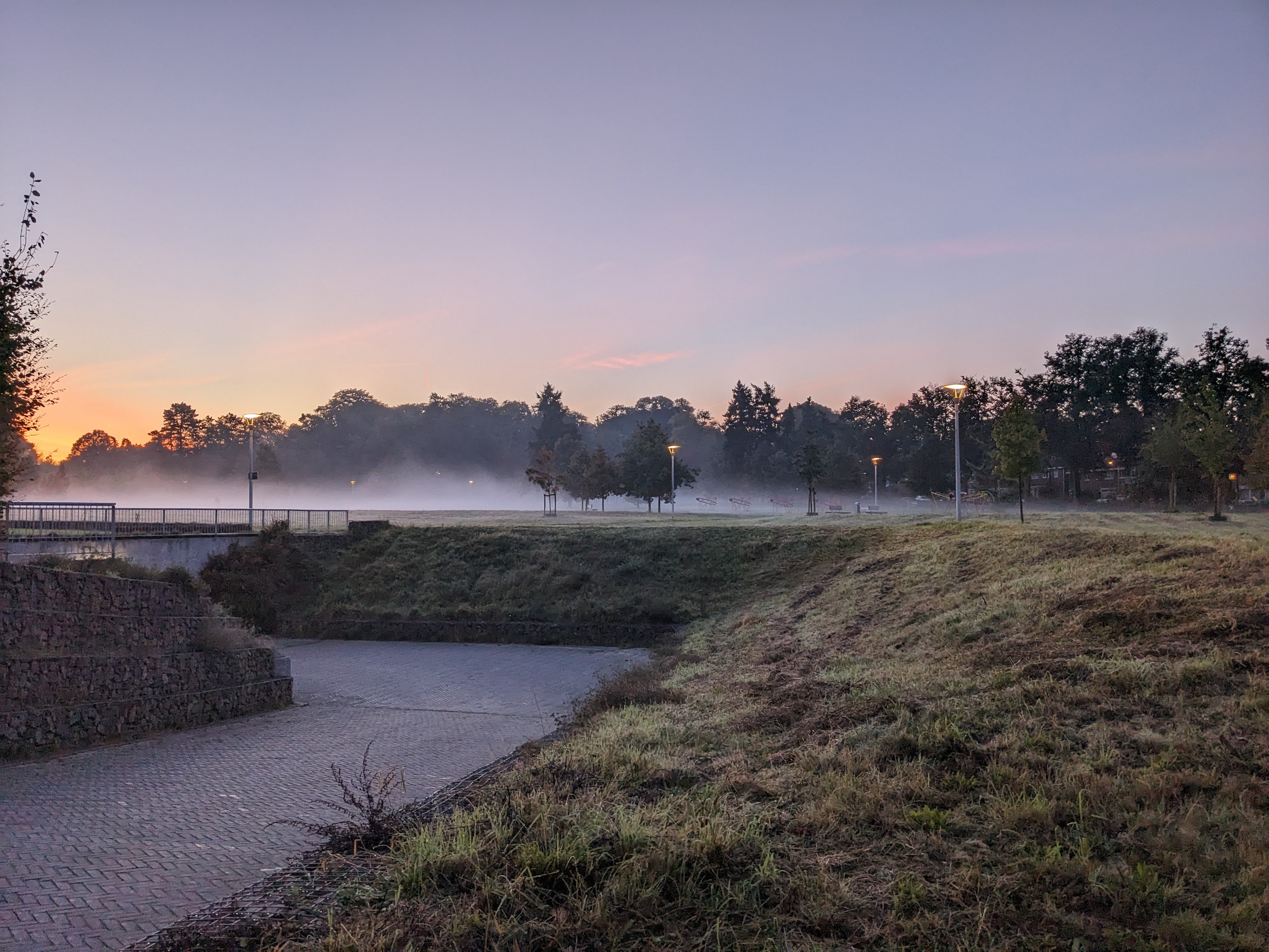 A view from the edge of the park. In the background there is tree line and you see fog rising from the grass.