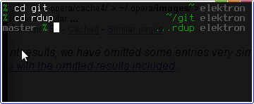 Branch zsh prompt