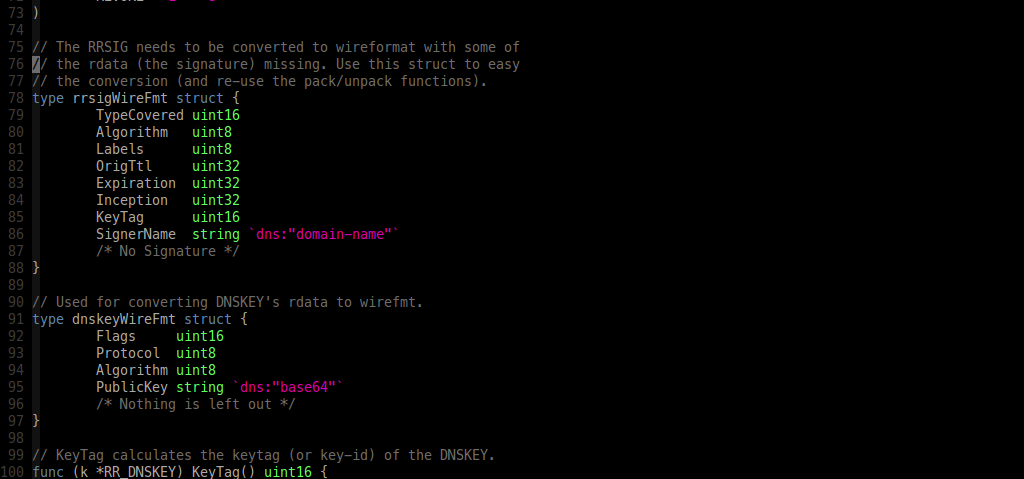 Here you see a user defined type <code>rrsigWireFmt</code> which isn’t colored like <code>uint16</code>, <code>uint8</code>, etc.